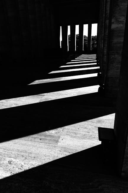 Home High contrast black and white photo of dramatic architectural shadows.